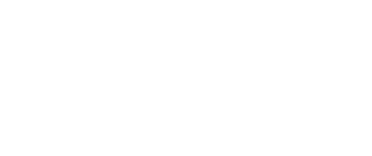 Partner 2